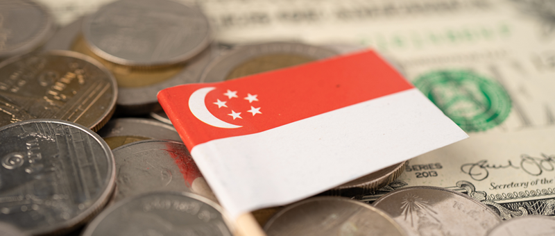 Singapore Budget Comprehensive Insights 2025